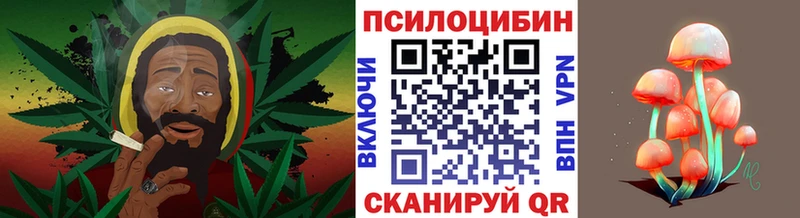 Псилоцибиновые грибы GOLDEN TEACHER  Купить  Вилючинск 